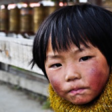 Foto R14 - China | Tibet 2010